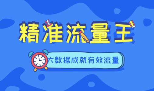 千万不要忽视了站内的精准流量 千万不要忽视了站内的精准流量