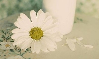 京东有哪些免费流量入口