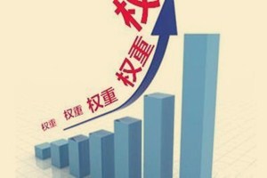 新店如何提高店铺权重?影响店铺权重的因素有哪些? 新店如何提高店铺权重?影响店铺权重的因素有哪些?