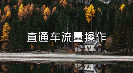 淘宝直通车出价怎么优化？