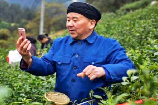村淘农民主播提报试播规则是什么? 村淘农民主播提报试播规则是什么?