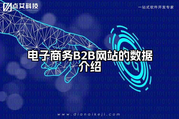电子商务B2B网站的数据介绍