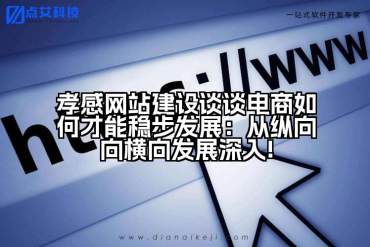 孝感网站建设谈谈电商如何才能稳步发展：从纵向向横向发展深入!
