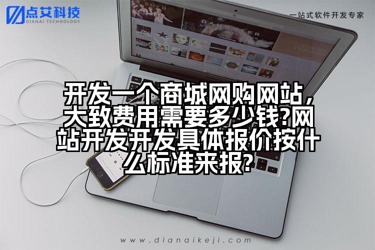 开发一个商城网购网站，大致费用需要多少钱?网站开发开发具体报价按什么标准来报?