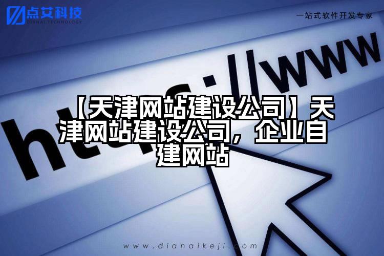 【天津网站建设公司】天津网站建设公司,企业自建网站