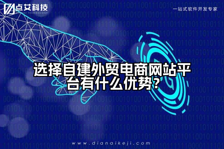 选择自建外贸电商网站平台有什么优势？