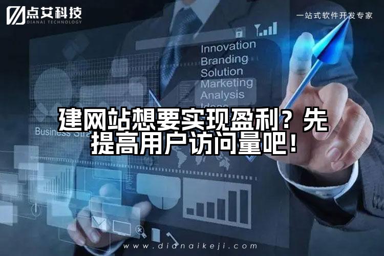建网站想要实现盈利?先提高用户访问量吧!
