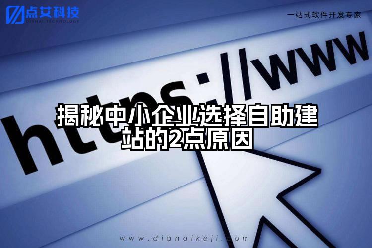 揭秘中小企业选择自助建站的2点原因