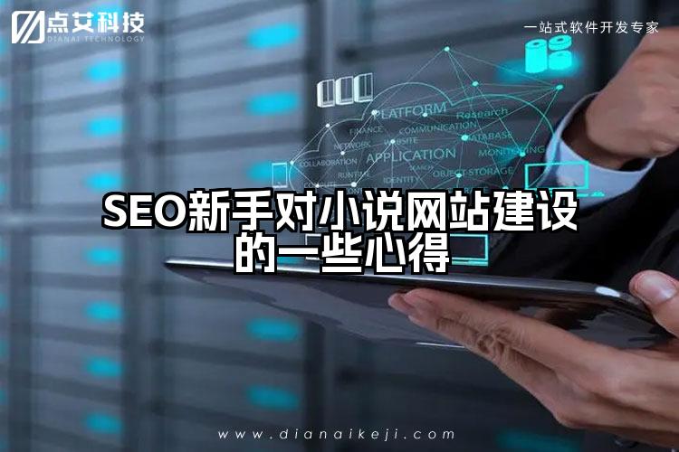 SEO新手对小说网站建设的一些心得