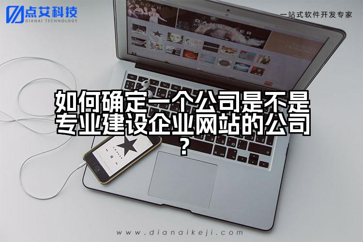 如何确定一个公司是不是专业建设企业网站的公司?
