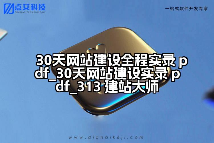 30天网站建设全程实录 pdf_30天网站建设实录 pdf_313 建站大师