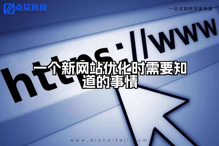 一个新网站优化时需要知道的事情