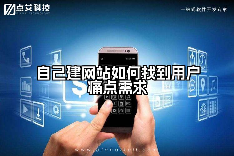 自己建网站如何找到用户痛点需求