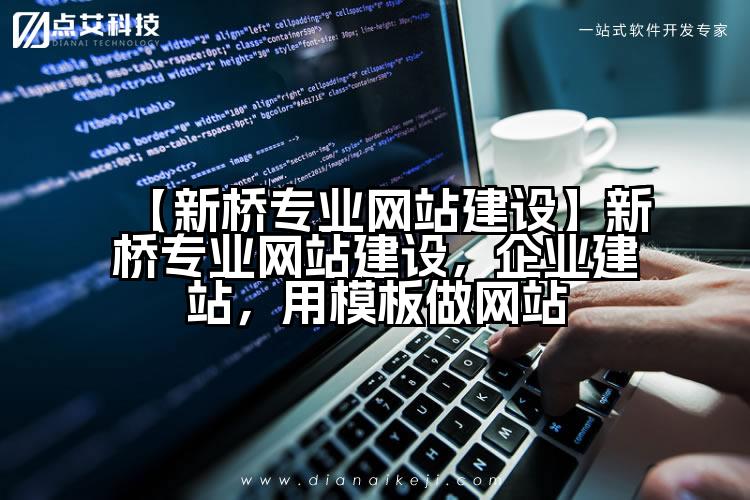 【新桥专业网站建设】新桥专业网站建设，企业建站，用模板做网站