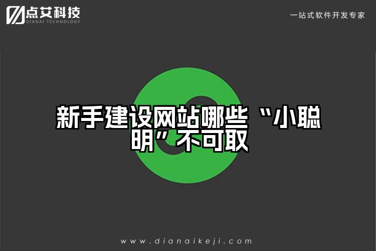 新手建设网站哪些“小聪明”不可取
