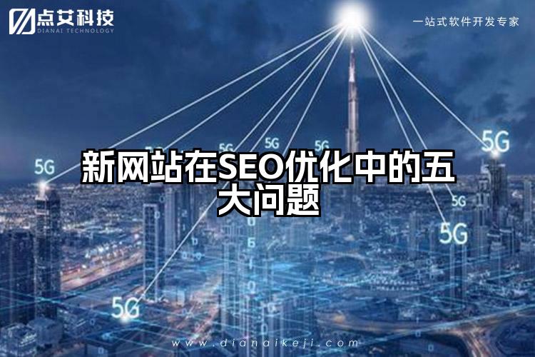 新网站在SEO优化中的五大问题
