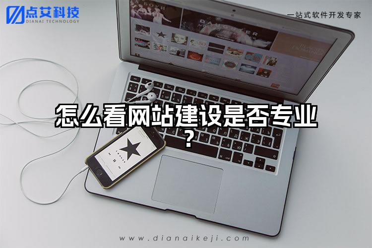 怎么看网站建设是否专业?