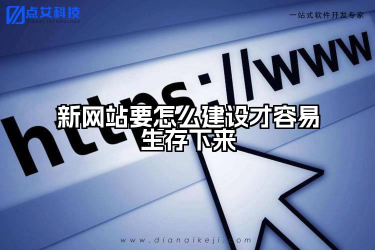 新网站要怎么建设才容易生存下来