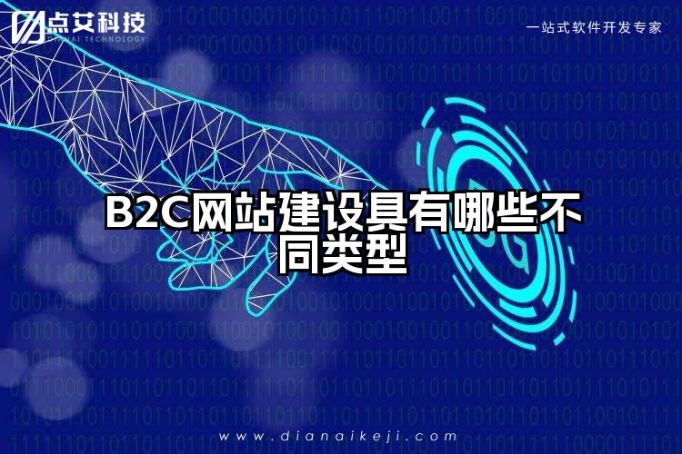 B2C网站建设具有哪些不同类型