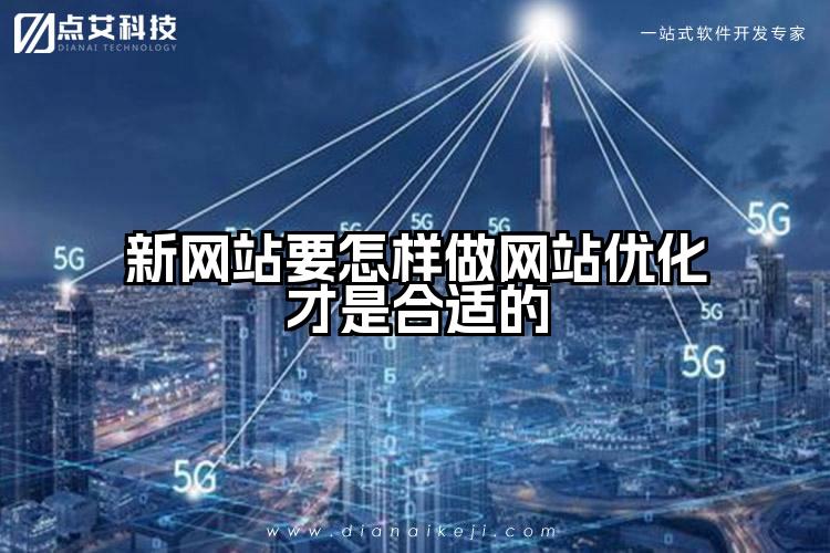 新网站要怎样做网站优化才是合适的