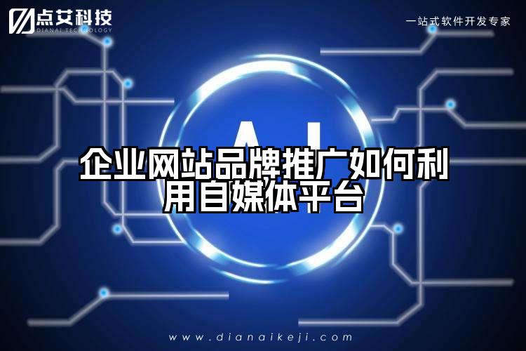 企业网站品牌推广如何利用自媒体平台