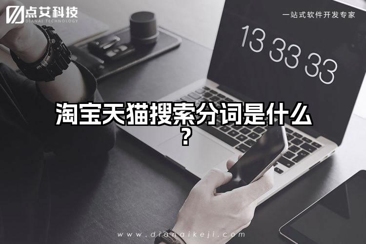 淘宝天猫搜索分词是什么？