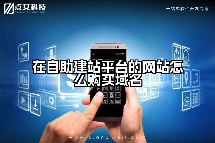 在自助建站平台的网站怎么购买域名