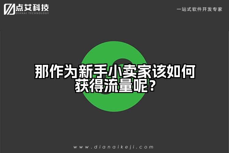 那作为新手小卖家该如何获得流量呢？