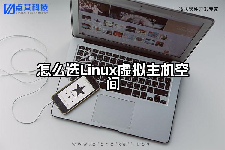 怎么选Linux虚拟主机空间