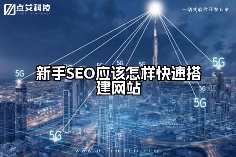 新手SEO应该怎样快速搭建网站
