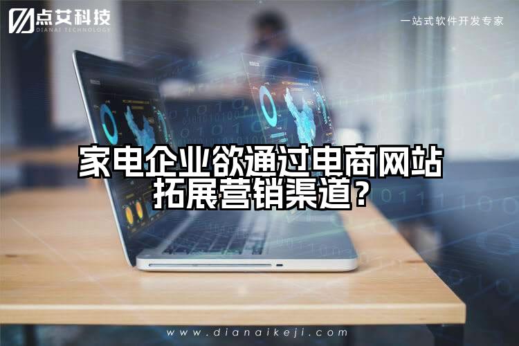 家电企业欲通过电商网站拓展营销渠道？