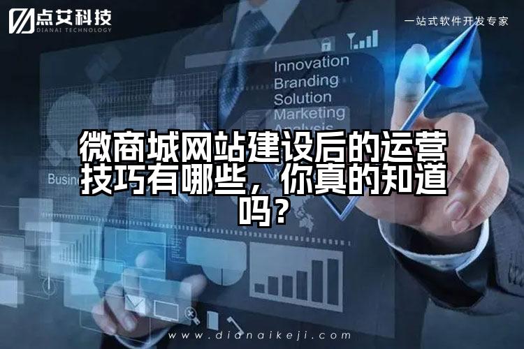 微商城网站建设后的运营技巧有哪些，你真的知道吗？