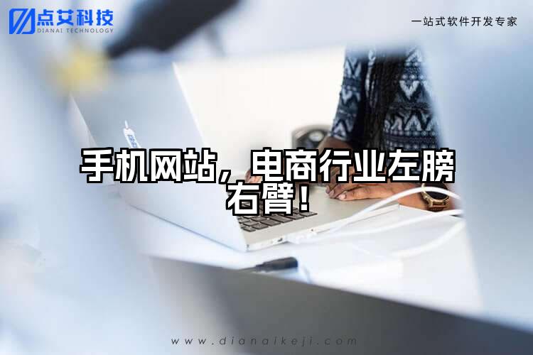 手机网站,电商行业左膀右臂!
