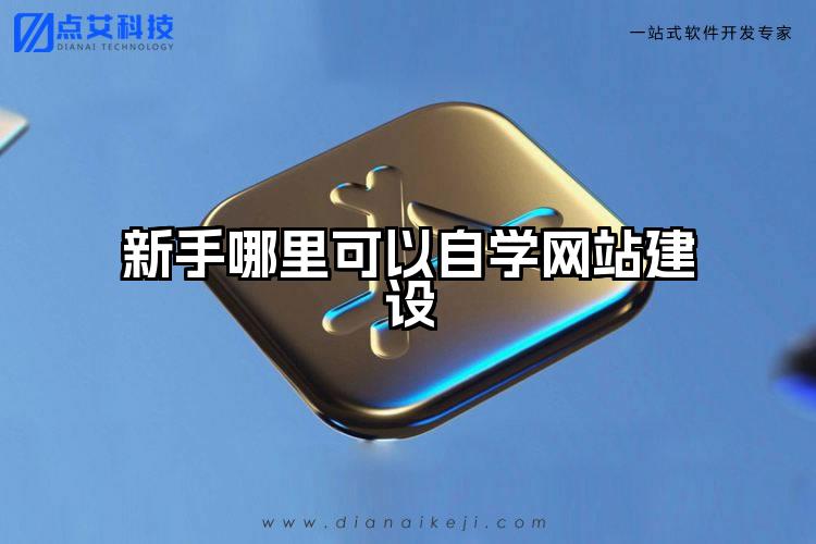 新手哪里可以自学网站建设