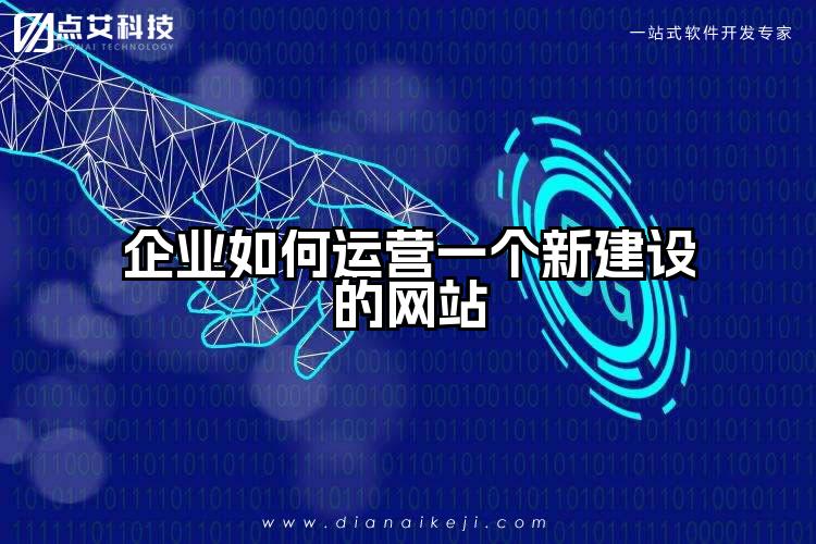企业如何运营一个新建设的网站