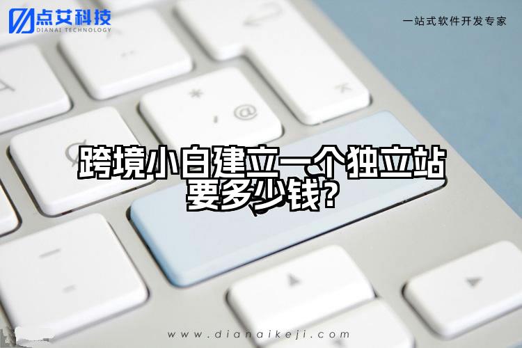 跨境小白建立一个独立站要多少钱?